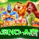 pak555 Max Casino App